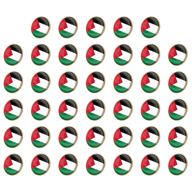 Insignias La Nacional Palestina Insignia Esmaltada Cristal Traje Recuerdo (25 Mm)