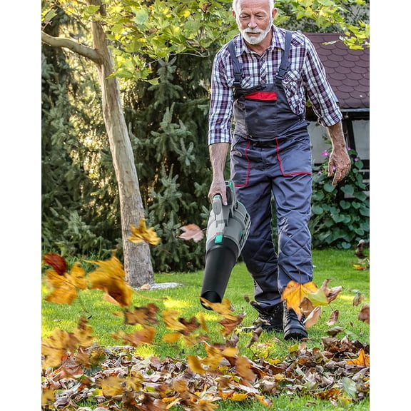 Litheli 20V Cordless Leaf Blower 350 CFM 85 MPH, Variable Speeds Electric Leaf Blower Battery Powered for Blowing Leaves, Dust, Snow, 4.0 Ah Battery & Fast Charger Included