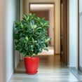 thumbnail image 6 of Flower Pots 10 inch, Modern Large Round Ceramic Planter with Drainage Hole, Housewarming Gift for Plant Lovers, for Indoor Trees, Glossy Red, 6 of 7