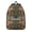 Reading Themed B, variant on Cute Apple Design Travel Backpack, Classic Red Apple Pattern Daypack with Kawaii Fruit Illustration and Aesthetic Funny Print for School or Picnic