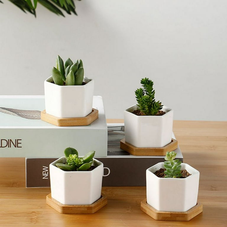 Fasmov Round Modern Ceramic Garden Flower Pots White Succulent Cactus Plant Pots, Set of 3