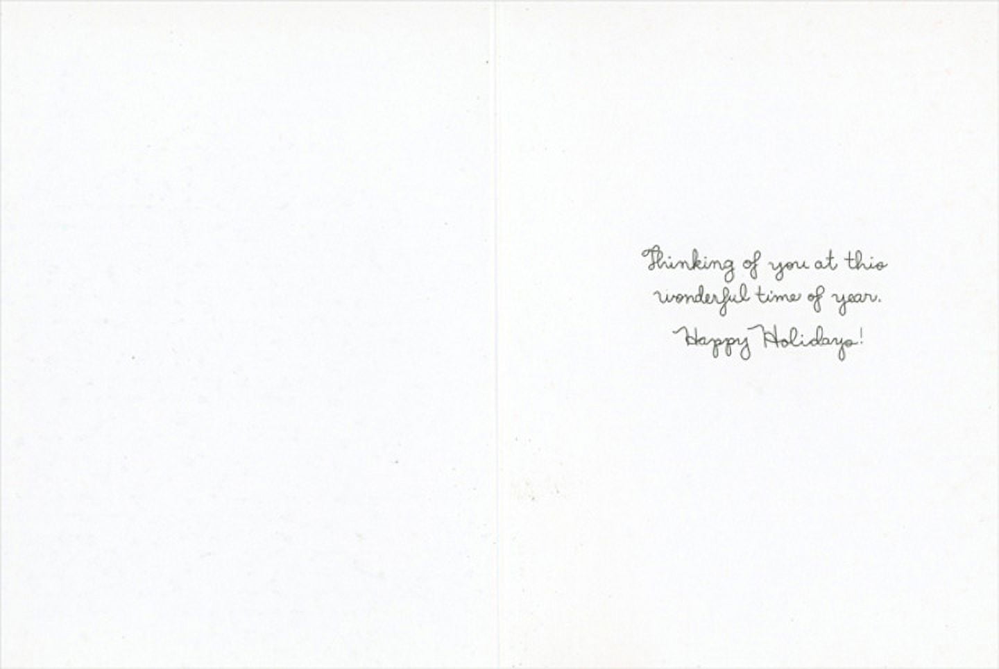 Madison Park Greetings Deck the Halls: White and Red Flowers on Blue Box of 10 Christmas Cards