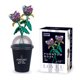 thumbnail image 5 of Bloques de construcción creativos de flores para bricolaje, orquídeas, tulipanes, bonsáis, regalo romántico para el día de San Valentín, decoración del hogar, regalos de bricolaje, 5 of 5
