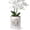 Vertical Flutes White, variant on EFISPSS 6" Ceramic Plant pot with Vertical Flutes–Clean White，Orchid Pots with hole and drainage Tray