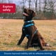thumbnail image 3 of Arnés reflectante para perros Coastal K9 Explorer con conexión frontal, 3 of 7