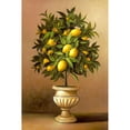 thumbnail image 2 of Welby 11x14 Black Modern Framed Museum Art Print Titled - Potted Lemon Tree, 2 of 4