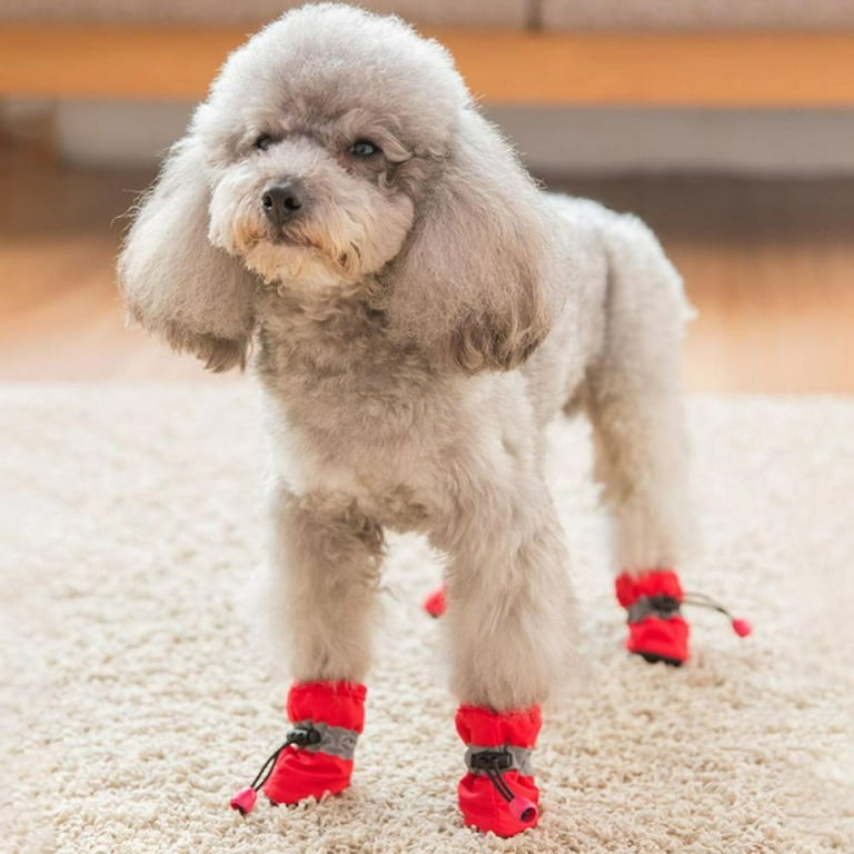 Pet Socks Puppy Small Dog Cat Safety Anti Slip Warm Indoor Shoes Paw  Protector #