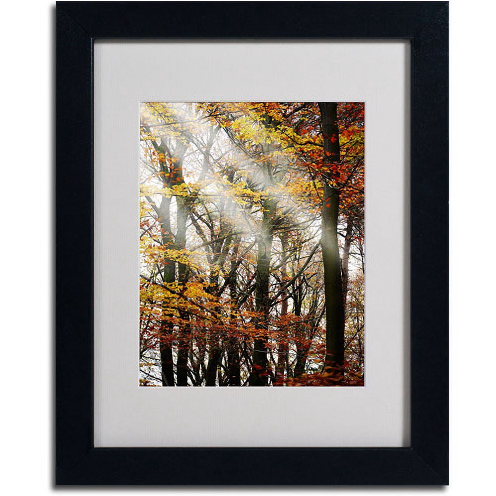 Trademark Fine Art "Just the Light" Canvas Art by Philippe Sainte-Laudy, Black Frame