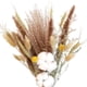 thumbnail image 1 of Hierba seca, ramo de flores de caña, decoración de bohemio para en hogar, accesorios de fotografía, arreglo floral, 1 of 7