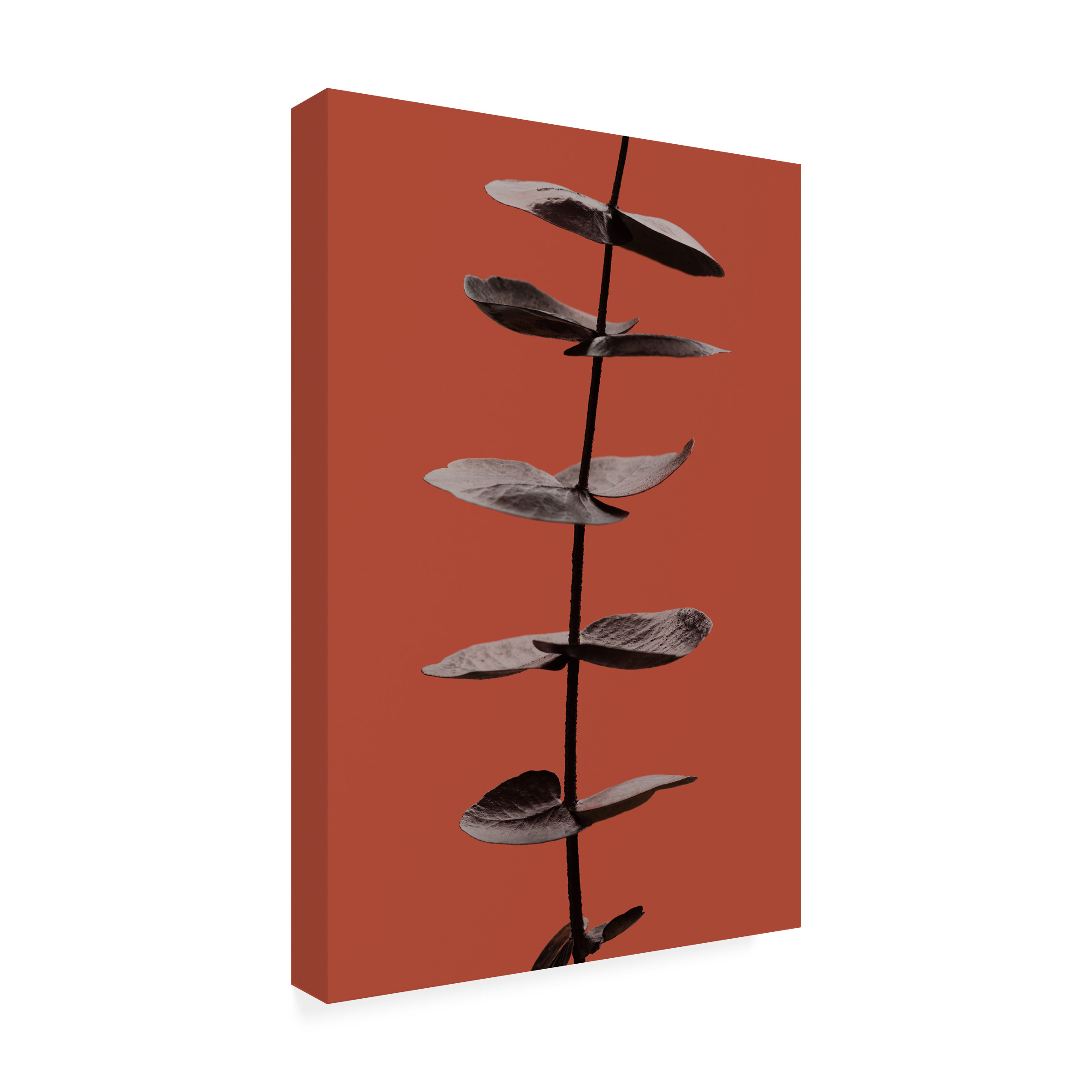 Canvas Wall Art - Pictufy Studio Iii 'Eucalyptus Rust 03' Wall Art for Living Room, Bedroom, or Office D?cor by Trademark Fine Art - 22 x 32 Inches