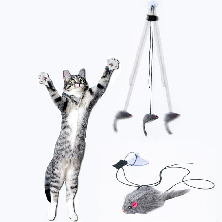 Cat window toy 2025