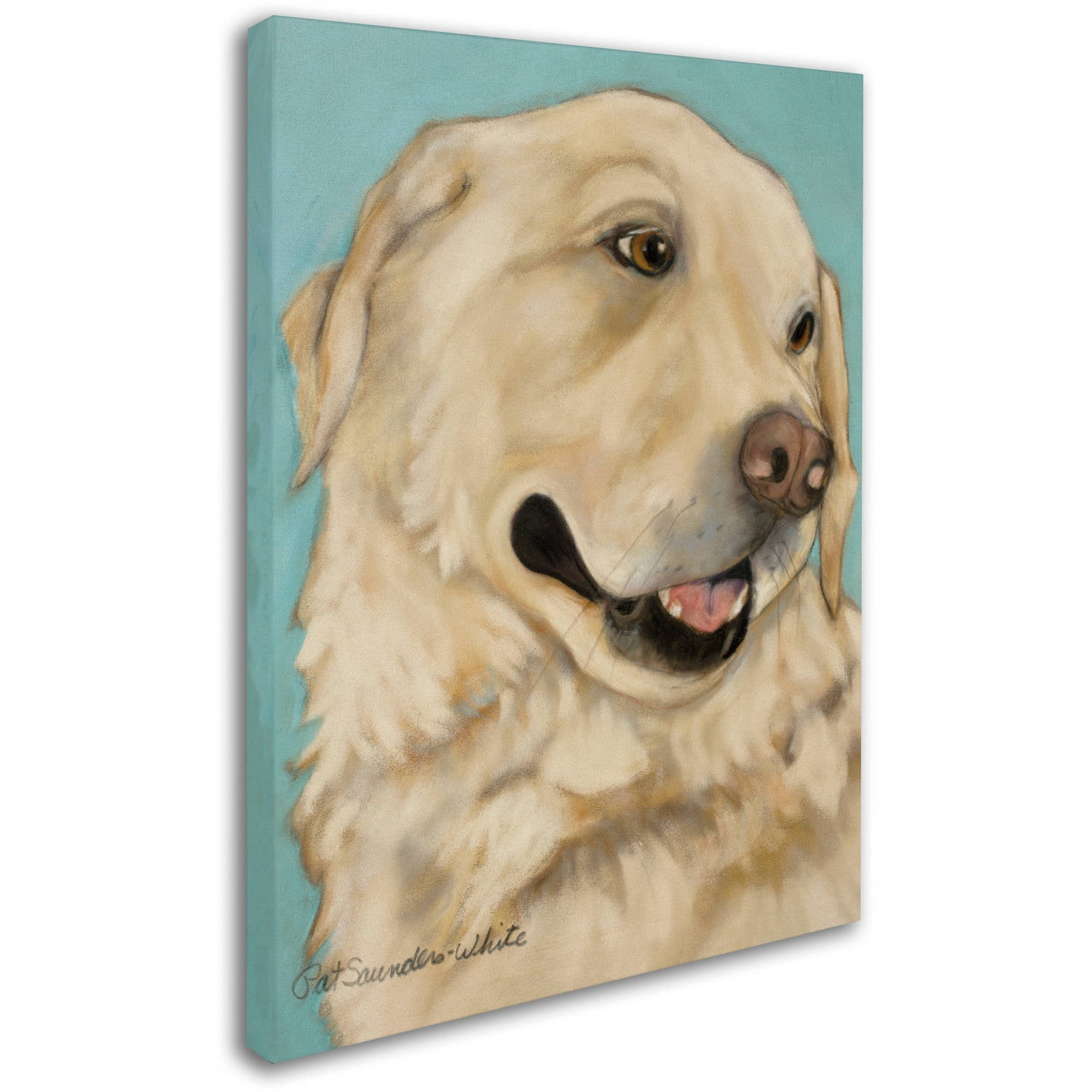 Trademark Fine Art "Jasper" Canvas Art by Pat Saunders-White