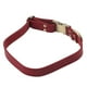 thumbnail image 5 of Collar de cuero acolchado Bling Bling collar de cuero suave y acolchado, 5 of 12