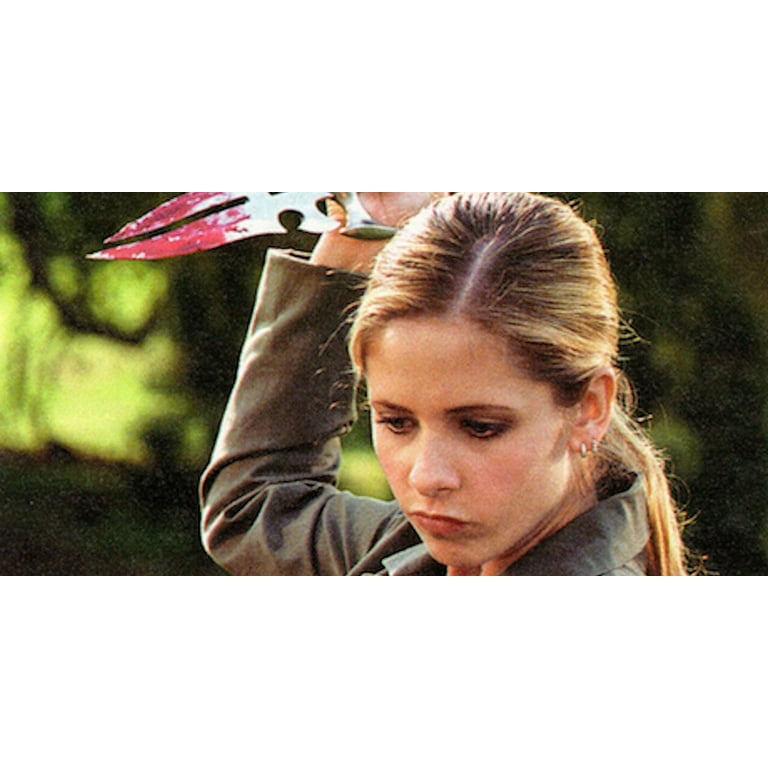 Buffy the Vampire Slayer: The Complete Series (DVD) - Walmart.com