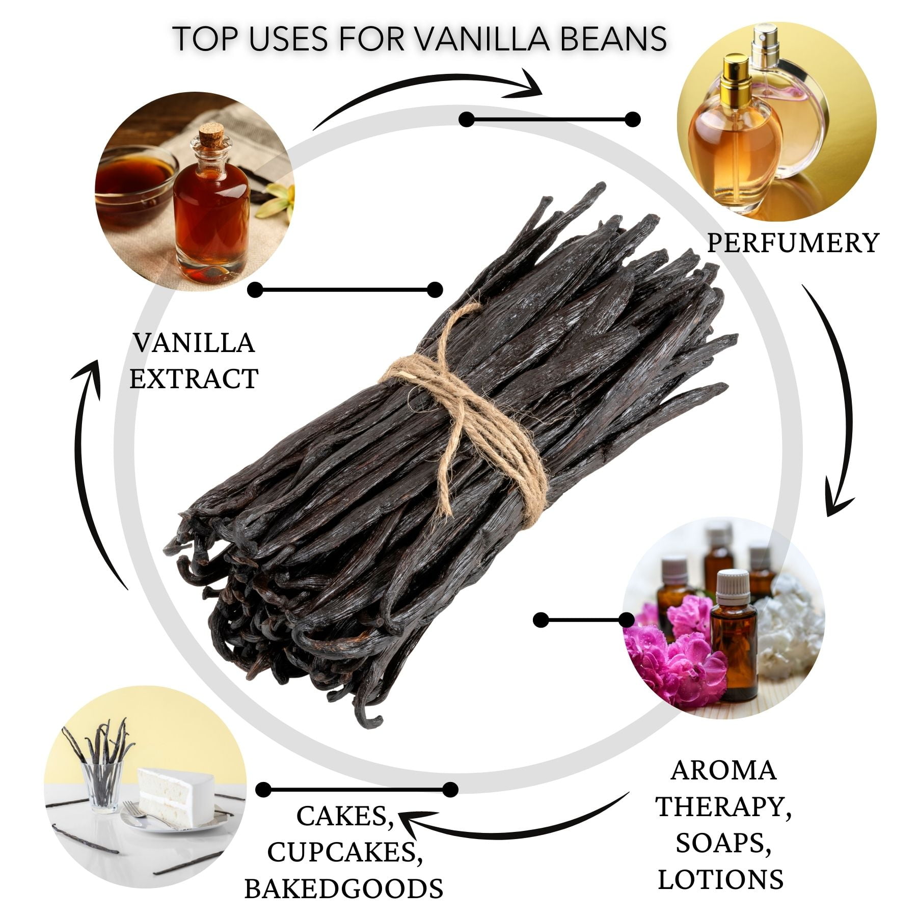 Slofoodgroup Gourmet Vanilla Beans from Uganda - 1/2 lb Whole Bean Pods