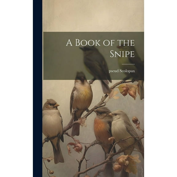 A Book of the Snipe (Hardcover)
