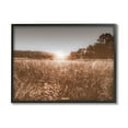 thumbnail image 2 of Stupell Industries Sunrise Country Meadow Tall Grass Light Burst Photography, 30 x 24,Design by Nathan Larson, 2 of 5