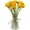 Yellow and Orange, variant on 18 Pcs Artificial Billy Ball Flowers, Craspedia Globosa Benth, Australian drumstick Chrysanthemum, Eternal Life Flower for Home, Wedding, Fall Autumn Decorations (Yellow and Orange, 18)