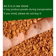 thumbnail image 5 of Horticultural Calcined Clay Soil Bonsai Cactus Soil Additive for Succulent Plants (5 QT, 1/8 inch), 5 of 10