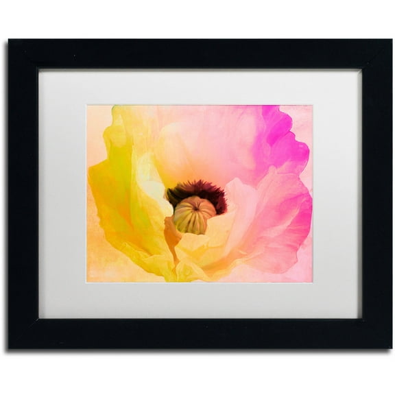 Trademark Fine Art "Poppy Gradient II" Canvas Art by Color Bakery White Matte, Black Frame