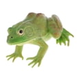thumbnail image 1 of Realistic Plastic Animal Figure Simualtion Model Animal Figure Toy Toys Green Bullfrog, 1 of 9