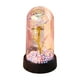 thumbnail image 2 of Rosa iluminada en cúpula de cristal - Rosa Eterna preservada con luces LED - 5,91" x 3,35" - Regalo de cumpleaños, San Valentín y Día de la Madre para mujeres, 2 of 6