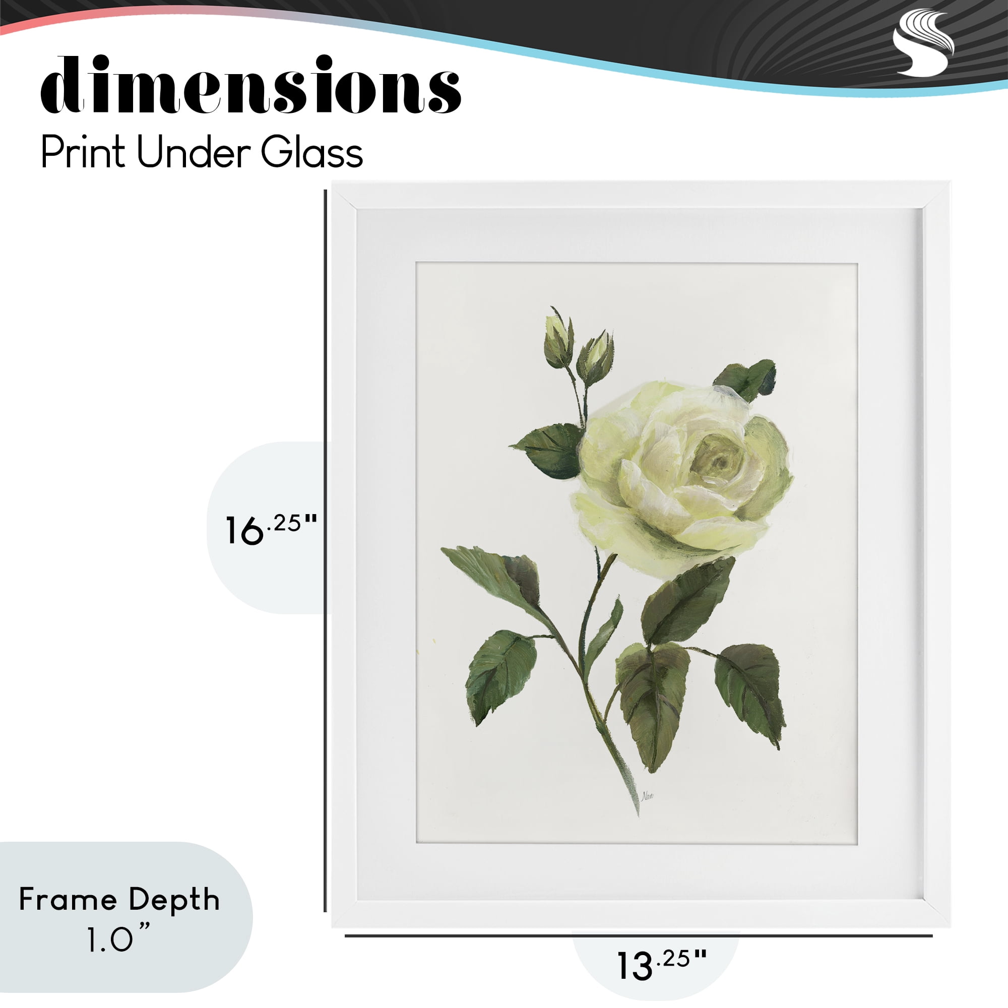 Stupell Industries Cream Garden Rose with Buds White Framed Print Under Glass, design by Nan