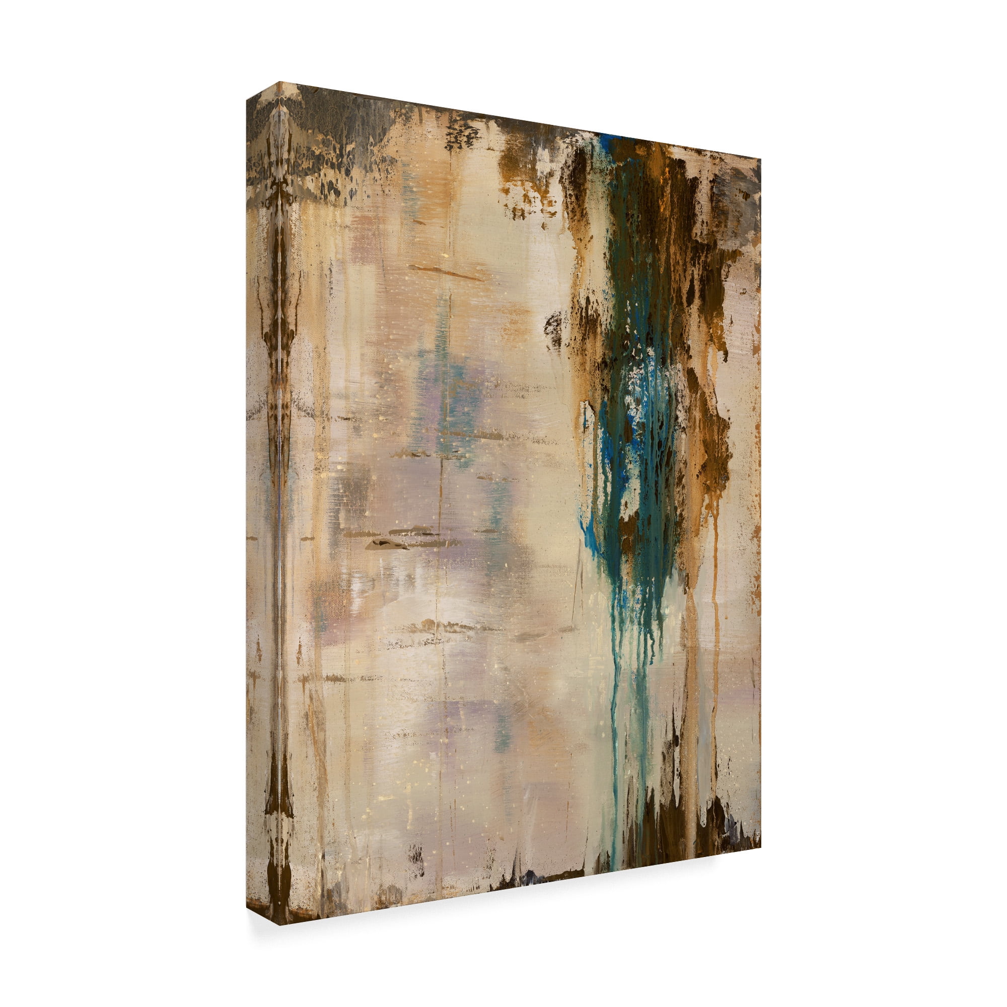 Trademark Fine Art 'Infinite Time I' Canvas Art by Julie Joy