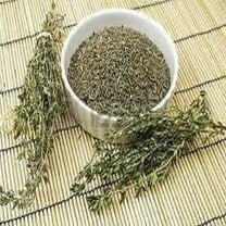 Thyme Herb Seed, NON-GMO, 200 seeds, One of the most useful herbs for the kitchen