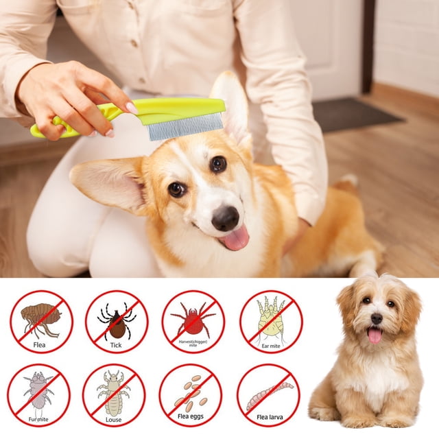 Peine Antipulgas Para Mascotas Gato Perro Piojos Peine para pulgas Herramienta de aseo multifuncional Suministros para mascotas (Amarillo L)