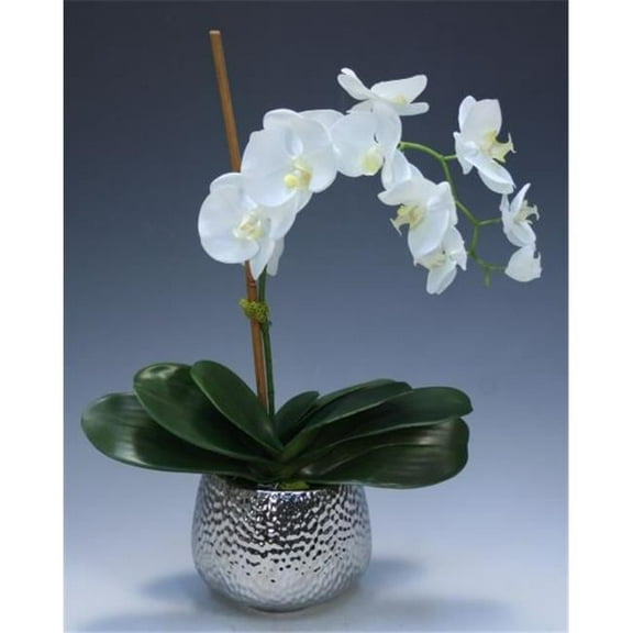 Distinctive Designs 9995 Cream White Phalaenopsis Orchid in Silver Hammered Metal Vase - Neutrals