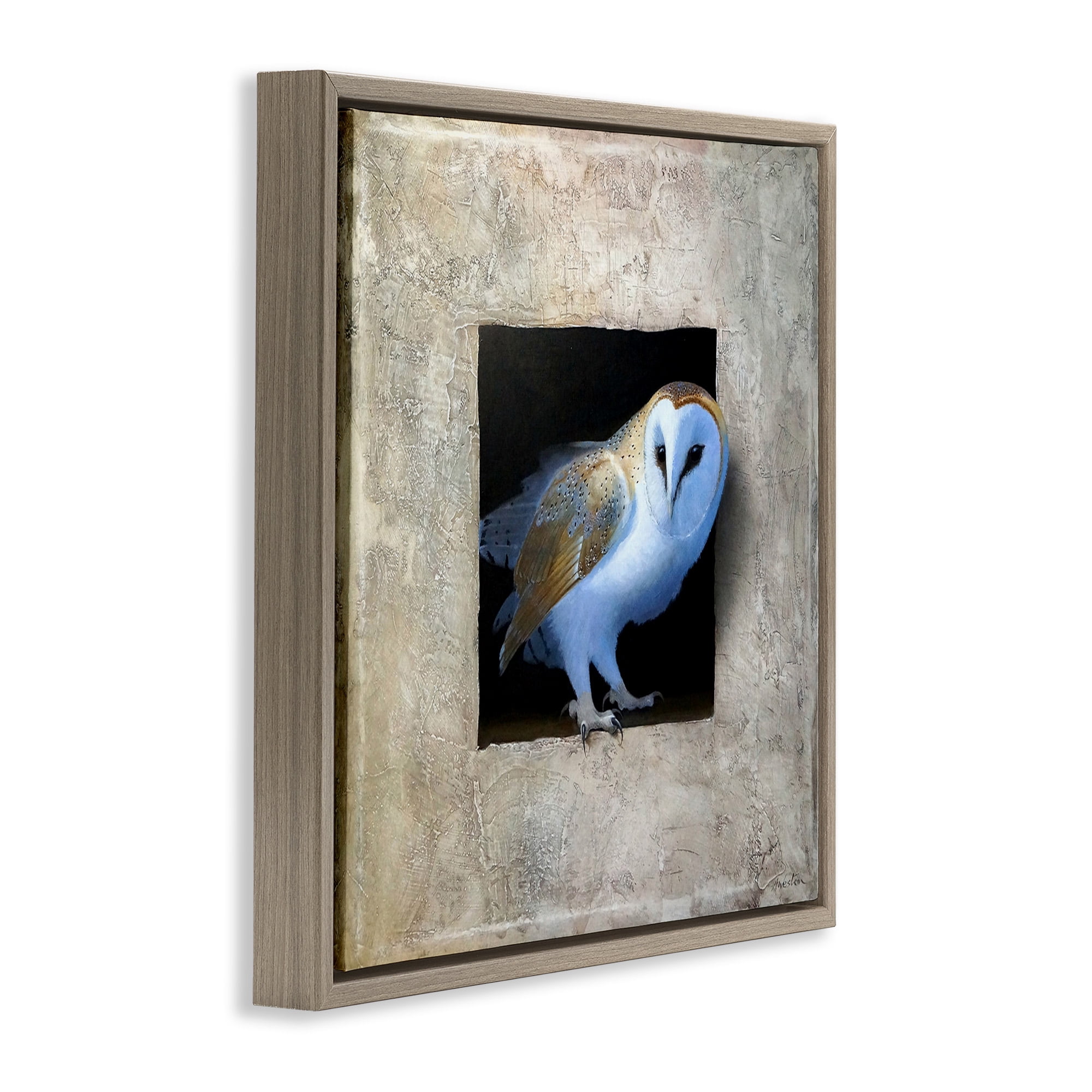 Stupell Industries Mysterious Barn Owl Peering Animals & Insects Painting Brown Floater Framed Canvas Art Print Wall Art, 25 x 25