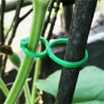 thumbnail image 4 of Hebilla 200 clips verdes en forma de 8 para plantas,correas de sujeción para tomates,enredaderas,clips de soporte para árboles y flores en el jardín. Rkxzt, 4 of 8