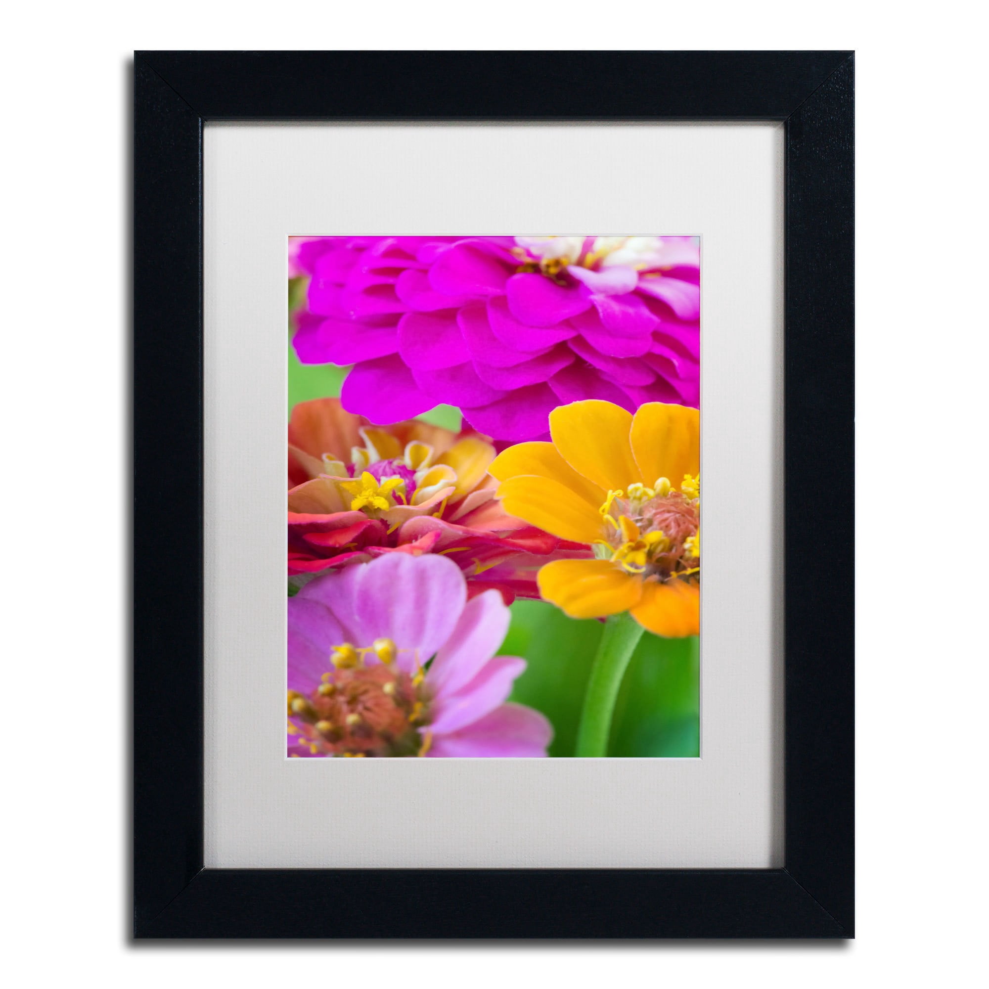 Trademark Fine Art "Bouquet of Inias" Canvas Art by Philippe Sainte-Laudy, White Matte, Black Frame