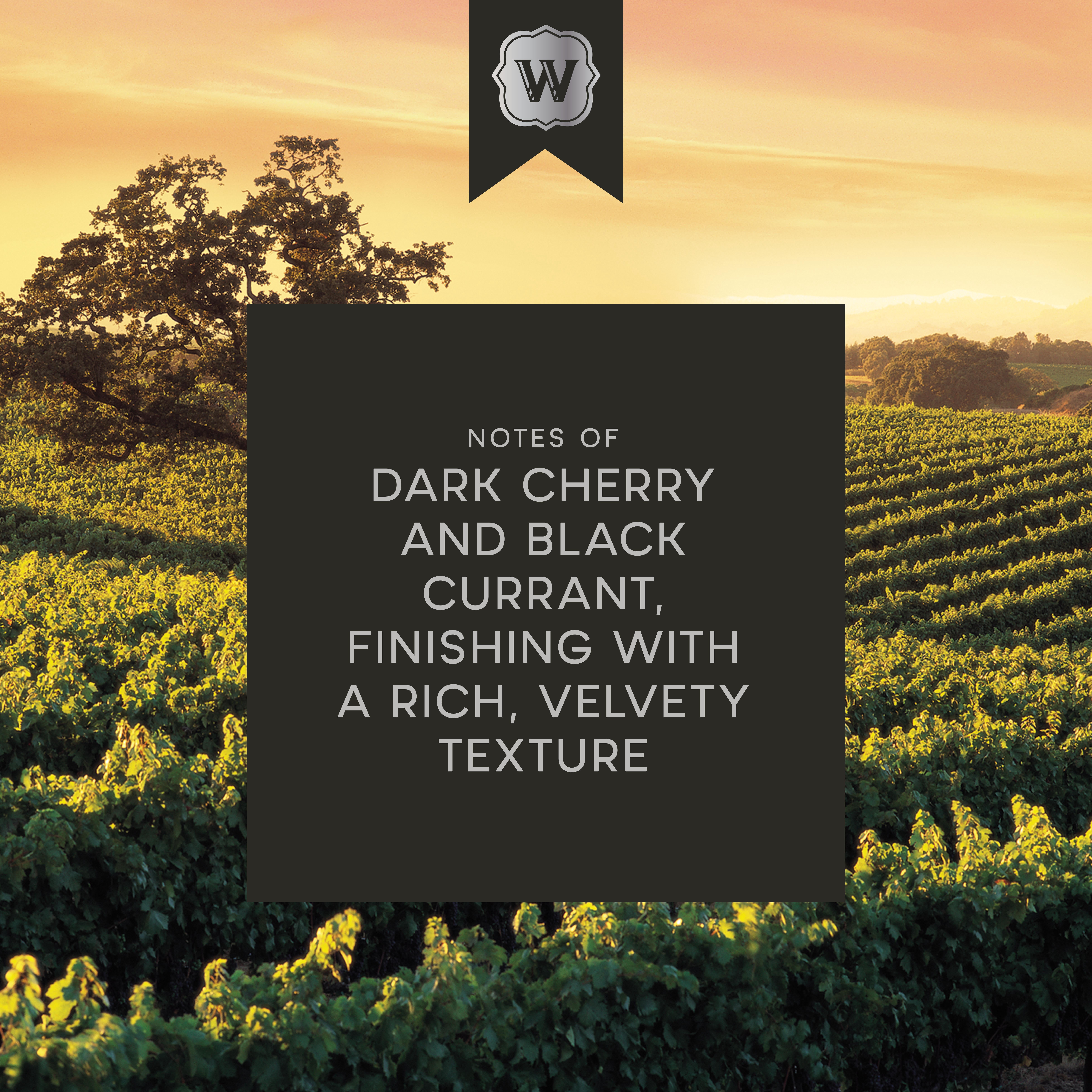 Winemakers Selection Cellar Reserve Cabernet Sauvignon Red Wine, California, 750ml (Glass Bottle)