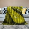 thumbnail image 2 of COMIO Foodie Whole Pickles Pickle Print Throw Blanket Soft Cozy Fluffy Flannel Throws Blankets for Couch Bed Sofa Living Room Bedroom Home Decor, Lightweight Fuzzy Plush Blanket for All Season, 2 of 6