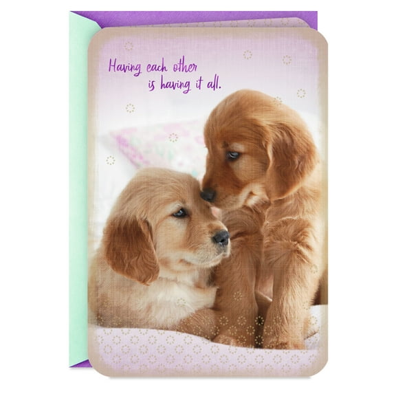 Hallmark Just Because Love Card (Golden Retriever)