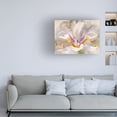 thumbnail image 3 of Leda Robertson 'Playful Petals I' Canvas Art, 3 of 4