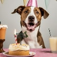 thumbnail image 4 of serony Plaque de Gâteau pour Chien Joyeux Anniversaire, 4 of 9