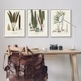 thumbnail image 3 of Stupell Industries Vintage Botanical Studies Botanical & Floral Painting White Framed Art Print Wall Art, 24 x 30, 3 of 10