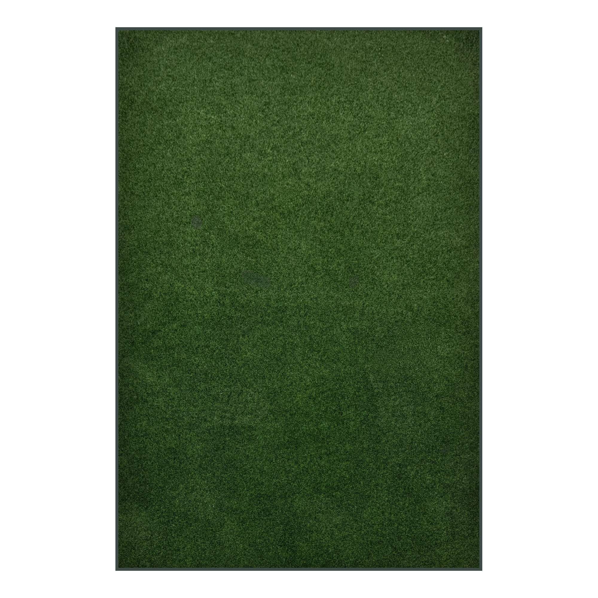 Koeckritz Rugs Grizzly Grass Rain Forest Indoor/Outdoor Turf Area Rug, 10' x 12'