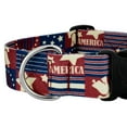 thumbnail image 6 of Country Brook Petz® 1 1/2 inch Deluxe Spirit of '76 Dog Collar, Extra Large, 6 of 6