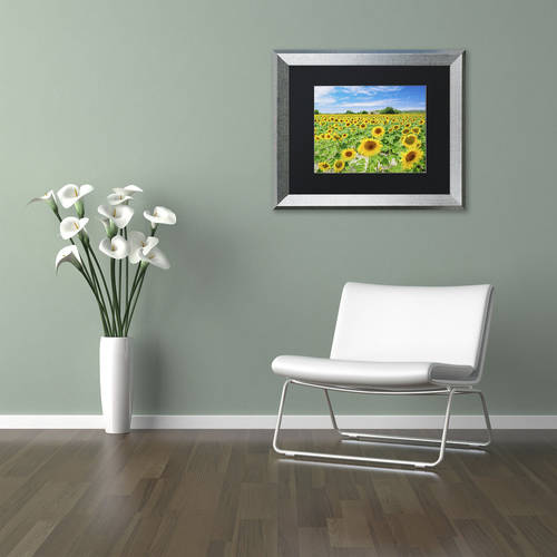 Trademark Fine Art "Field of Yellow" Canvas Art by Michael Blanchette Photography Black Matte, Silver Frame