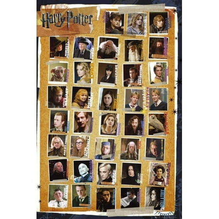 Harry Potter Image - and the Deathly Hallows - Characters Poster 24 x 36in By Harry Potter,USA