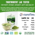 thumbnail image 3 of Organic Premium Culinary Matcha Green Tea Powder, 255g(9oz), First Harvest & Tencha Style by EFOOFAN, 3 of 11