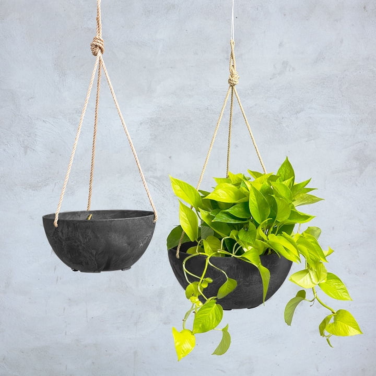 Root & Vessel Napa Hanging Bowl Planter, Black, 12"