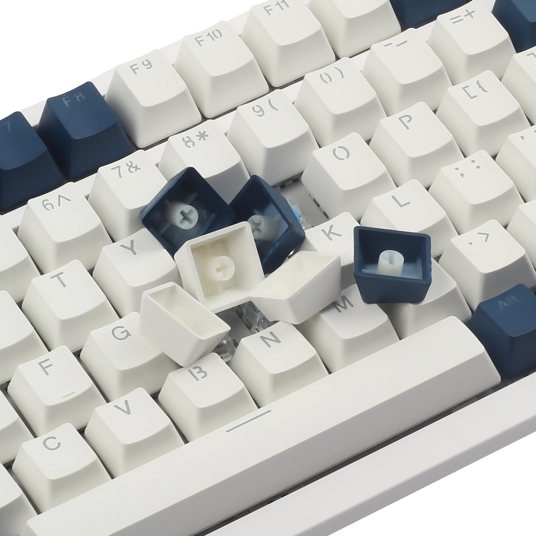 Hyssop PBT Keycaps for Gaming Keyboard Doubleshot Backlit OEM Profile Cherry MX for 61 68 84 87 104 108 MX Switches Mechanical Keyboard