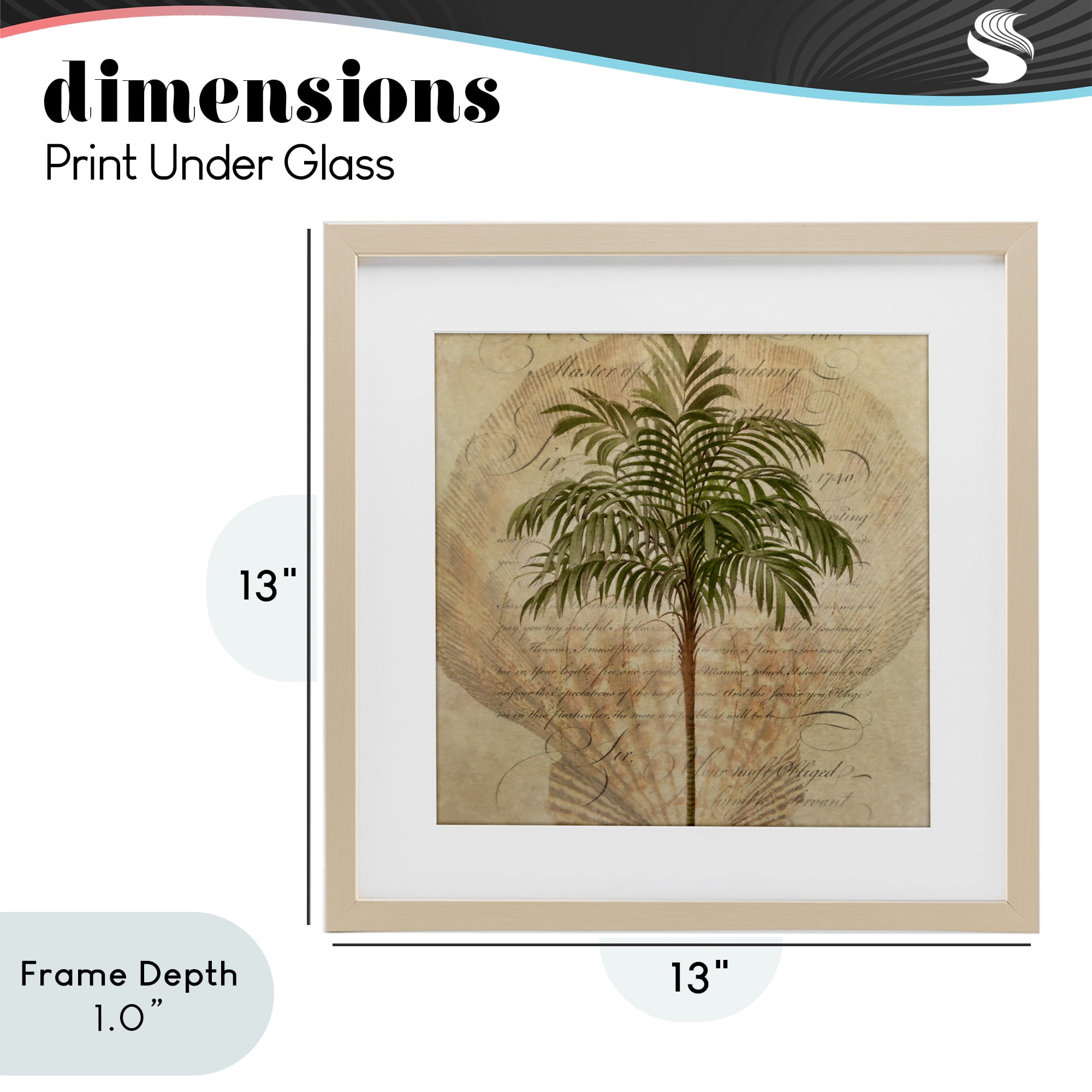Stupell Industries Subdued Tropics Palm Birch Framed Print Under Glass, design by Steve Hunziker