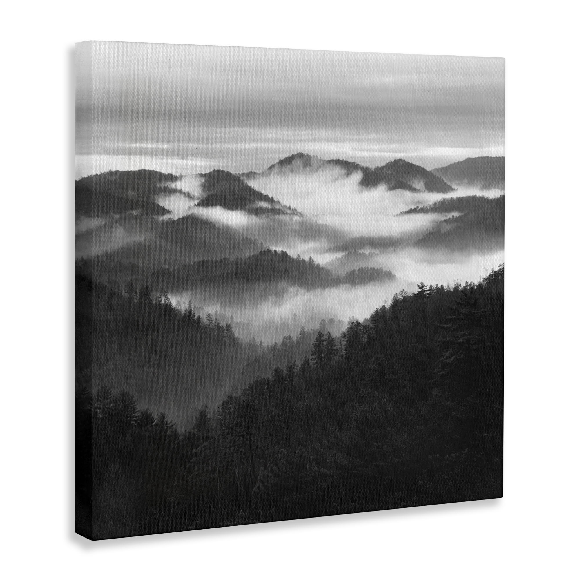 Stupell Industries Smoky Mountains Forest Canvas Wall Art, design by Nicholas Bell