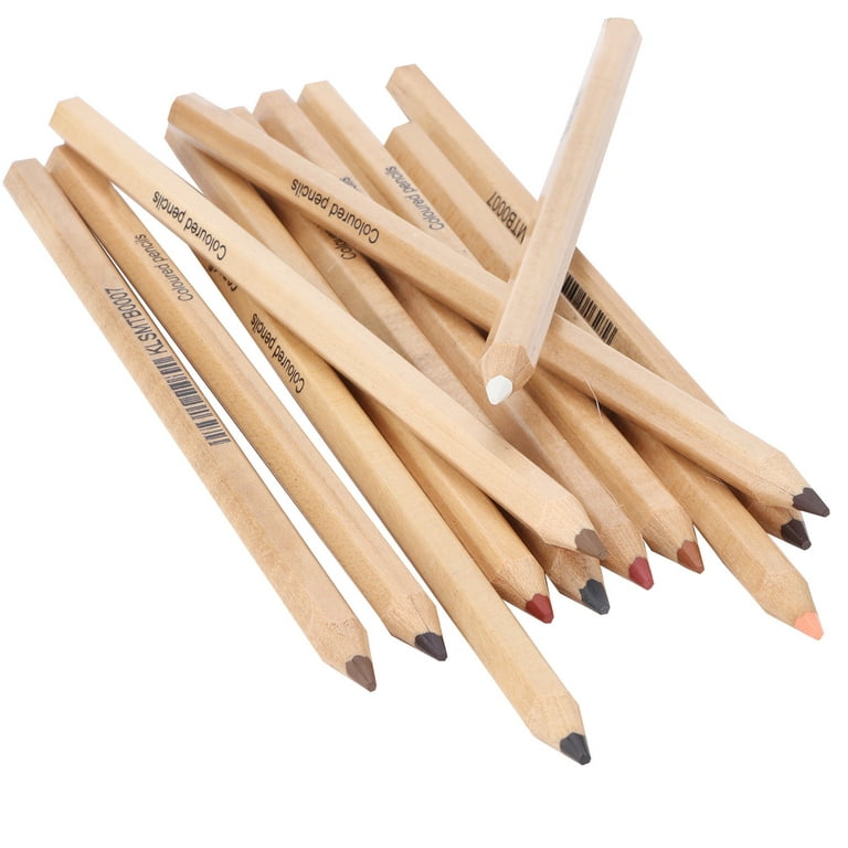 Charcoal Pencils, Sturdy Durable Evenly Colored Pastel Pencils For  Paintings For Manuscripts 